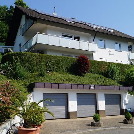 Haus Irmgard Apartman Zell am Harmersbach Kültér fotó