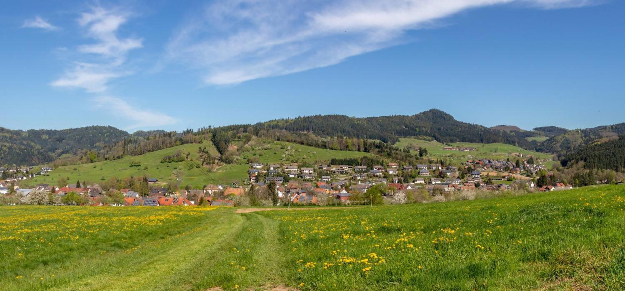 Haus Irmgard Apartman Zell am Harmersbach Kültér fotó