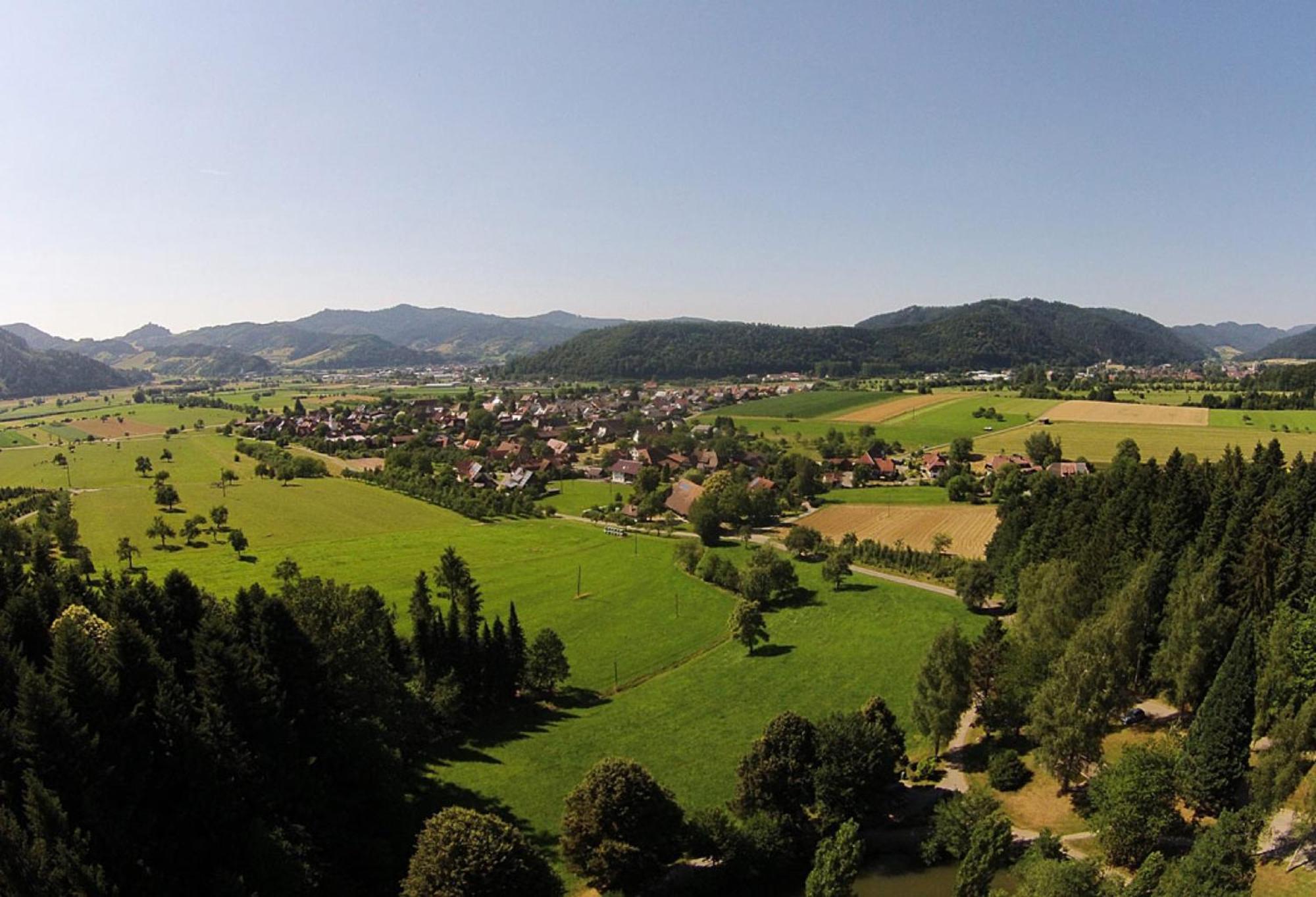 Haus Irmgard Apartman Zell am Harmersbach Kültér fotó